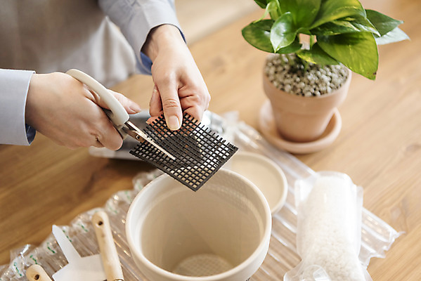 포토 JPG 식물 손 화분 화초 실내 들기 취미 신체부위 망 자르기 원예 가위질 분갈이 조경가위 반려식물 국내포토 모션 가위_도구 사람 내부 파일형식