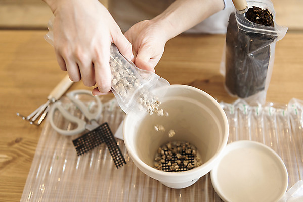 포토 JPG 손 화분 실내 들기 취미 신체부위 흙 돌_바위 붓기 원예 분갈이 지퍼백 반려식물 국내포토 식물 모션 사람 내부 패키지 파일형식