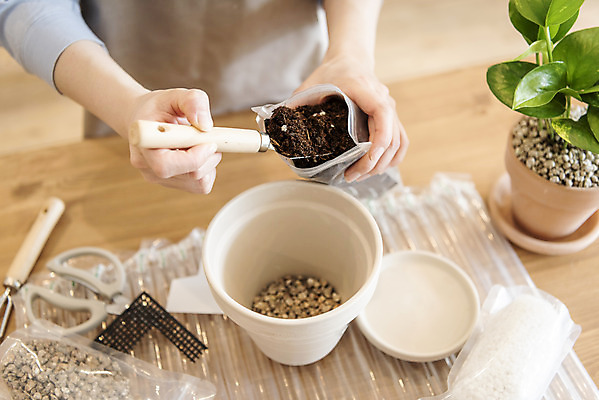 포토 JPG 식물 손 여자 화분 화초 실내 한명 들기 상반신 20대 성인 취미 앞모습 흙 한국인 모종삽 원예 분갈이 성인여자한명만 지퍼백 반려식물 국내포토 1 뷰포인트 모션 사람 동양인 청년 내부 신체부위 삽 패키지 여자한명만 성인여자만 파일형식