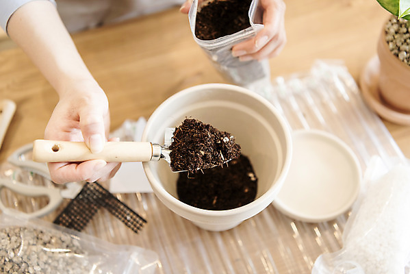 포토 JPG 손 화분 실내 들기 취미 신체부위 흙 모종삽 원예 분갈이 지퍼백 반려식물 국내포토 식물 모션 사람 내부 삽 패키지 파일형식