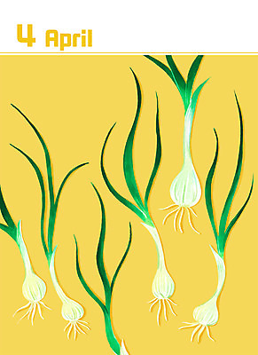 PSD 백그라운드 일러스트 사람없음 노란색 달력 4월 달래 봄나물 제철 미니멀 제철음식 국내일러스트 음식 컬러 채소 날짜 나물 파일형식