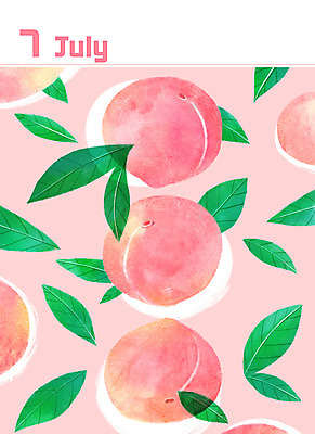 PSD 분홍색 백그라운드 잎 일러스트 사람없음 달력 복숭아 7월 미니멀 제철음식 제철과일 국내일러스트 식물 음식 컬러 과일 날짜 제철 파일형식