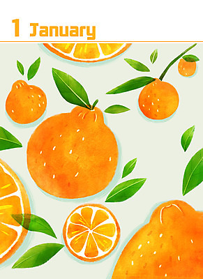 PSD 백그라운드 잎 일러스트 단면 사람없음 주황색 달력 한라봉 1월 미니멀 제철음식 국내일러스트 식물 음식 컬러 과일 날짜 제철 파일형식