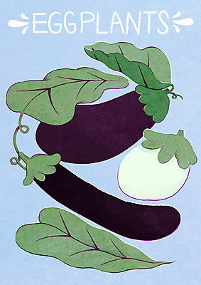 PSD 하늘색 잎 채소 일러스트 식재료 가지 타이포그라피 사람없음 미니멀 제철음식 국내일러스트 식물 문자 음식 파란색 제철 파일형식