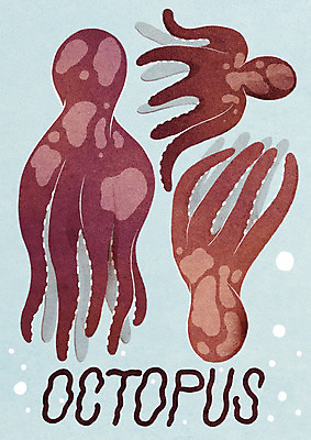 PSD 하늘색 일러스트 식재료 세마리 타이포그라피 사람없음 물방울 해산물 문어 미니멀 제철음식 국내일러스트 문자 음식 연체동물 3 파란색 수중동물 제철 파일형식