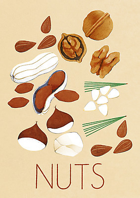 PSD 일러스트 타이포그라피 사람없음 견과류 밤 땅콩 호두 아몬드 솔잎 잣 부럼 베이지색 깐밤 미니멀 제철음식 국내일러스트 문자 음식 컬러 잎 밤_견과류 정월대보름 제철 파일형식