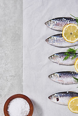 포토 JPG 스튜디오촬영 식재료 실내 사람없음 하이앵글 레몬 일렬 소금 전어 플랫레이 제철음식 종이호일 국내포토 음식 뷰포인트 과일 어류 내부 플랫 제철 파일형식