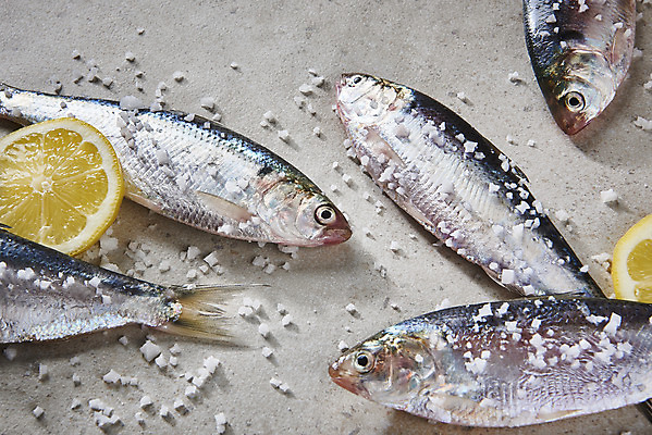 포토 JPG 스튜디오촬영 식재료 실내 사람없음 레몬 소금 전어 제철음식 국내포토 음식 과일 어류 내부 제철 파일형식