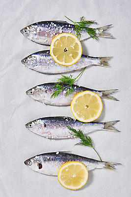 포토 JPG 스튜디오촬영 식재료 실내 사람없음 하이앵글 레몬 소금 전어 플랫레이 제철음식 국내포토 음식 뷰포인트 과일 어류 내부 플랫 제철 파일형식