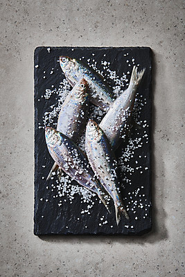 포토 JPG 스튜디오촬영 식재료 실내 사람없음 하이앵글 소금 돌판 전어 제철음식 국내포토 음식 뷰포인트 어류 내부 돌_바위 제철 파일형식