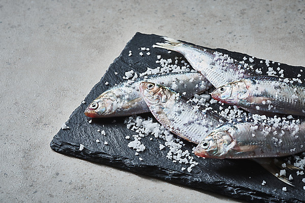 포토 JPG 스튜디오촬영 식재료 실내 사람없음 소금 돌판 전어 제철음식 국내포토 음식 어류 내부 돌_바위 제철 파일형식