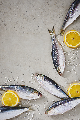 포토 JPG 스튜디오촬영 식재료 실내 사람없음 하이앵글 레몬 소금 전어 플랫레이 제철음식 국내포토 음식 뷰포인트 과일 어류 내부 플랫 제철 파일형식