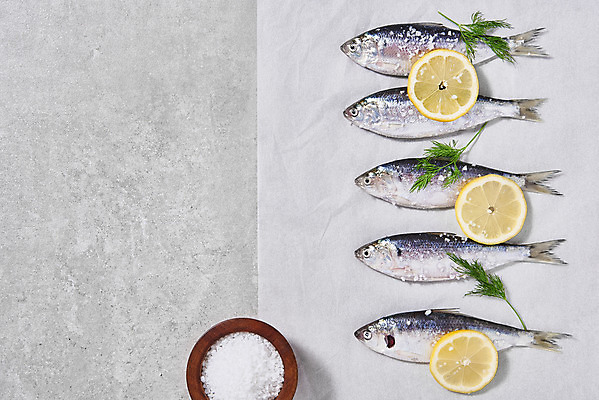 포토 JPG 스튜디오촬영 식재료 실내 사람없음 하이앵글 레몬 일렬 소금 전어 플랫레이 제철음식 종이호일 국내포토 음식 뷰포인트 과일 어류 내부 플랫 제철 파일형식