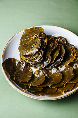 포토 JPG 접시 잎 식재료 실내 사람없음 경상북도 담기 의령 망개떡 민트색배경 망개잎 국내포토 식물 식기 백그라운드 모션 떡 내부 경상도 경상남도 민트색 파일형식