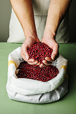 포토 JPG 실내 한명 들기 상반신 성인 앞모습 경상북도 팥 마대자루 성인한명만 의령 망개잎 국내포토 1 뷰포인트 잎 모션 사람 내부 경상도 경상남도 자루 성인만 파일형식