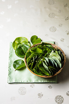 포토 JPG 잎 재료 실내 사람없음 소쿠리 경상북도 천 담기 의령 망개떡 망개잎 국내포토 식물 모션 떡 내부 바구니 직물 경상도 경상남도 파일형식