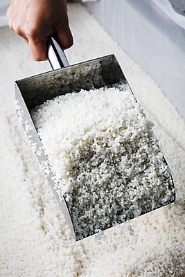 포토 JPG 손 재료 실내 들기 신체부위 쌀 막걸리 경기도 전통주 연천 국내포토 모션 곡류 주류 한국 사람 내부 파일형식