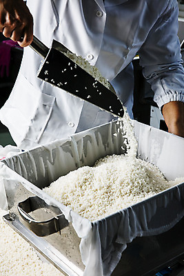 포토 JPG 재료 실내 한명 들기 상반신 성인 앞모습 쌀 붓기 막걸리 경기도 전통주 성인한명만 연천 국내포토 1 뷰포인트 모션 곡류 주류 한국 사람 내부 성인만 파일형식