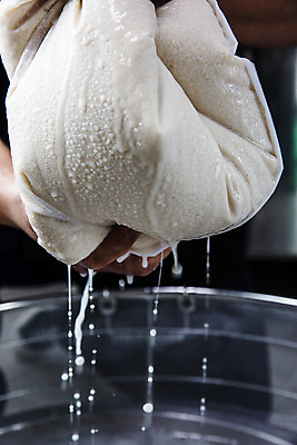 포토 JPG 손 재료 실내 들기 신체부위 천 막걸리 경기도 전통주 짜기 연천 국내포토 모션 주류 한국 사람 내부 직물 파일형식