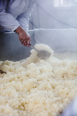 포토 JPG 한명 들기 상반신 성인 옆모습 수증기 주걱 막걸리 경기도 전통주 성인한명만 연천 고두밥 국내포토 1 뷰포인트 모션 밥 주방용품 주류 한국 사람 성인만 파일형식