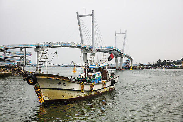 포토 JPG 주간 바다 사람없음 야외 다리 어선 충청남도 태안 국내포토 자연요소 배_교통 신체부위 충청도 파일형식