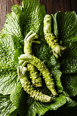 포토 JPG 잎 식재료 실내 사람없음 고추냉이 강원도 철원 생와사비 국내포토 식물 한국 내부 양념 파일형식