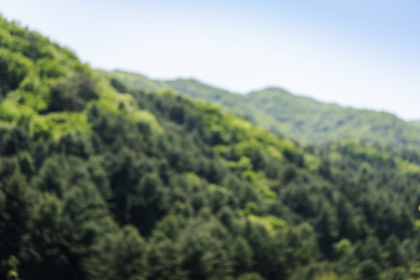 포토 JPG 주간 백그라운드 자연 산 풍경 사람없음 야외 아웃포커스 경기도 가평 국내포토 자연요소 한국 촬영기법 생태계 파일형식