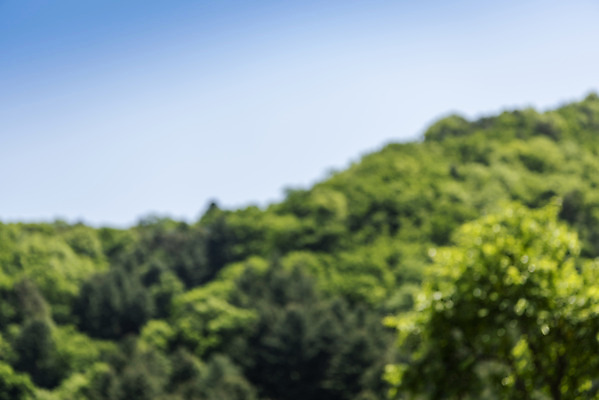 포토 JPG 주간 백그라운드 자연 산 풍경 사람없음 야외 아웃포커스 경기도 가평 국내포토 자연요소 한국 촬영기법 생태계 파일형식