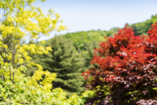 포토 JPG 주간 백그라운드 단풍 자연 나뭇잎 풍경 사람없음 야외 아웃포커스 경기도 가평 국내포토 자연요소 잎 한국 촬영기법 생태계 파일형식