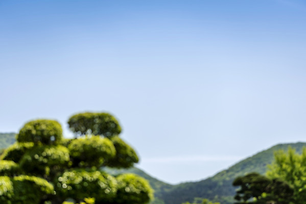 포토 JPG 주간 나무 백그라운드 자연 하늘 산 풍경 사람없음 야외 아웃포커스 경기도 가평 국내포토 자연요소 식물 한국 촬영기법 생태계 파일형식