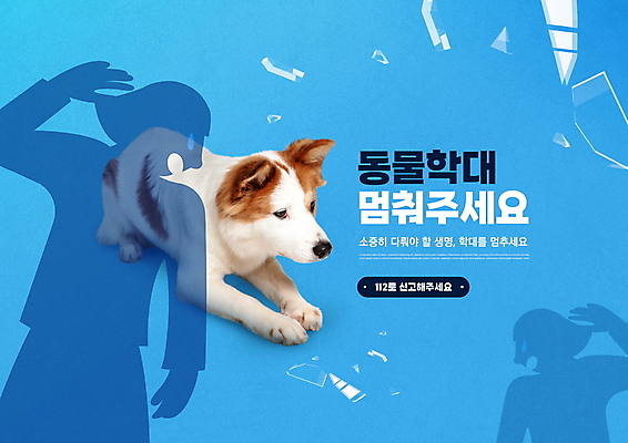 PSD 편집이미지 한마리 반려견 그림자 타이포그라피 사람없음 파란색 동물학대 보더콜리 반려 유리조각 믹스견 이미지편집 문자 1 컬러 반려동물 개 학대 콜리 파일형식