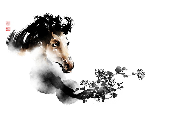 PSD 한마리 일러스트 캘리그라피 붓터치 국화 사람없음 십이지신 말 동양화 번짐 말띠 낙관 사군자 국내일러스트 1 꽃 미술 말_동물 파일형식 효과