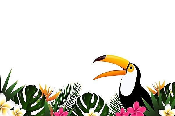 EPS 해외이미지 한마리 일러스트 사람없음 여름 열대꽃 열대잎 토코투칸 해외202004 해외일러스트 1 계절 꽃 잎 조류 파일형식 벡터
