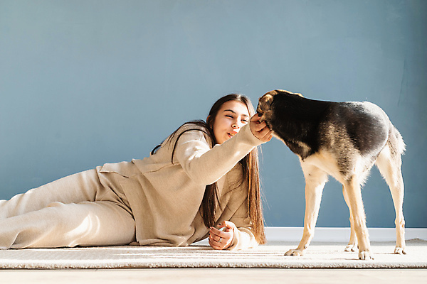 포토 JPG 해외이미지 백인 한마리 여자 놀이 주택 실내 한명 상반신 성인 눕기 카펫 강아지 성인여자한명만 쓰다듬기 믹스견 해외포토 서양인 1 모션 사람 내부 건물 반려동물 개 여자한명만 성인여자만 파일형식