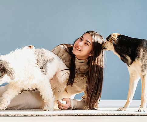 포토 JPG 해외이미지 백인 응시 여자 두마리 놀이 주택 실내 한명 앉기 성인 앞모습 카펫 강아지 성인여자한명만 믹스견 해외포토 서양인 1 시선 뷰포인트 2 모션 사람 내부 건물 반려동물 개 여자한명만 성인여자만 파일형식