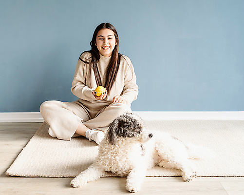 포토 JPG 해외이미지 전신 백인 한마리 응시 여자 공 놀이 주택 실내 한명 들기 성인 앞모습 카펫 강아지 가부좌 성인여자한명만 믹스견 해외포토 서양인 1 시선 뷰포인트 모션 사람 앉기 내부 건물 반려동물 개 여자한명만 성인여자만 파일형식