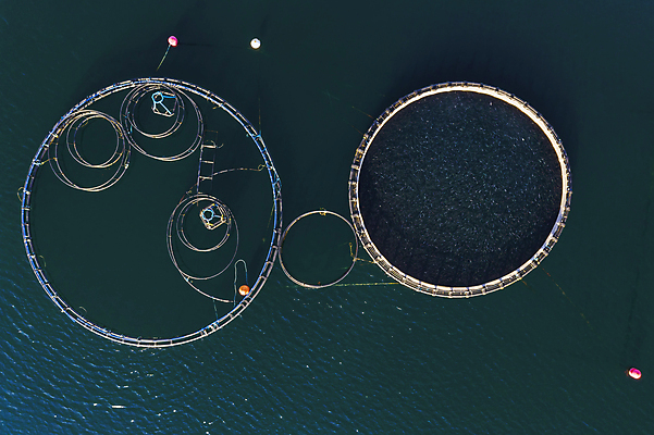 포토 JPG 해외이미지 주간 파도 바다 사람없음 야외 하이앵글 그리스 양식장 항공촬영 드론 해외포토 자연요소 유럽 뷰포인트 시설 파일형식