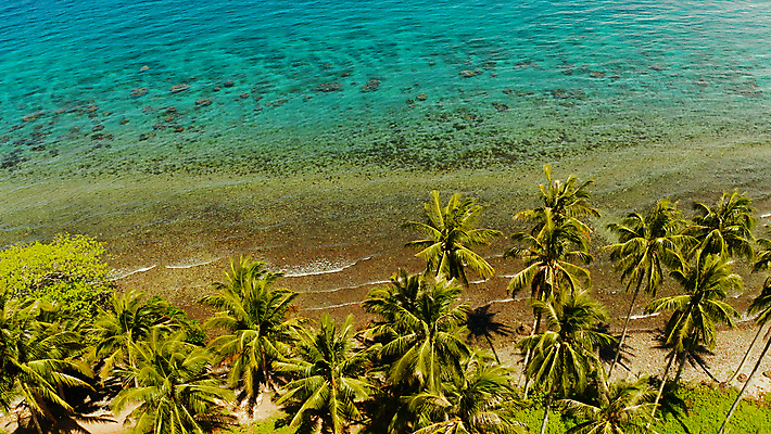 포토 JPG 해외이미지 주간 바다 필리핀 풍경 해변 사람없음 야외 하이앵글 야자수 항공촬영 해외포토 자연요소 나무 뷰포인트 동남아시아 파일형식