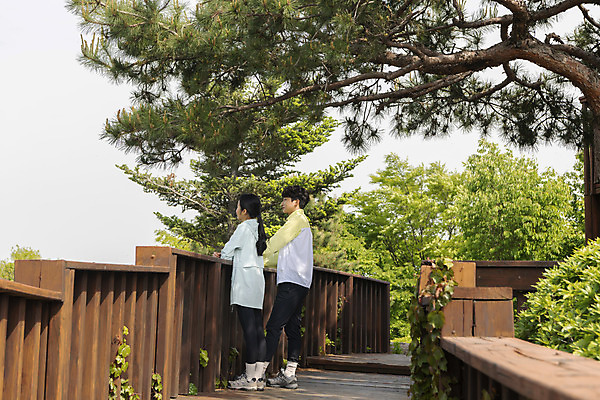 포토 JPG 주간 전신 나무 커플 여자 남자 커플라이프 데이트 휴식 산 서기 20대 성인 야외 두명 옆모습 등산 한국인 나무울타리 성인만 국내포토 자연요소 식물 라이프스타일 뷰포인트 컨셉 관계 모션 사람 동양인 청년 울타리 트래킹 파일형식
