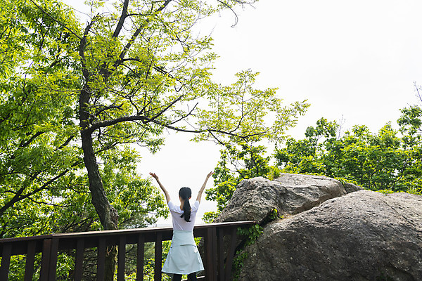 포토 JPG 주간 나무 우먼라이프 여자 산 한명 상반신 20대 성인 야외 뒷모습 등산 만세 한국인 정상 나무울타리 산정상 성인여자한명만 국내포토 자연요소 식물 1 라이프스타일 뷰포인트 모션 사람 동양인 청년 울타리 트래킹 여자한명만 성인여자만 파일형식
