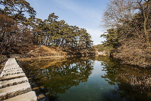 포토 JPG 주간 풍경 사람없음 야외 강 경상북도 돌다리 돌징검다리 서원 영주 국내포토 자연요소 다리_건축물 경상도 징검다리 파일형식