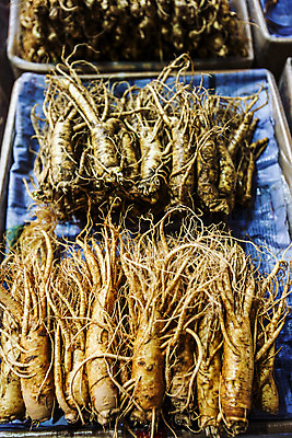 포토 JPG 실내 사람없음 쌓기 약재 인삼 경상북도 특산물 영주 국내포토 모션 내부 약 삼 경상도 파일형식