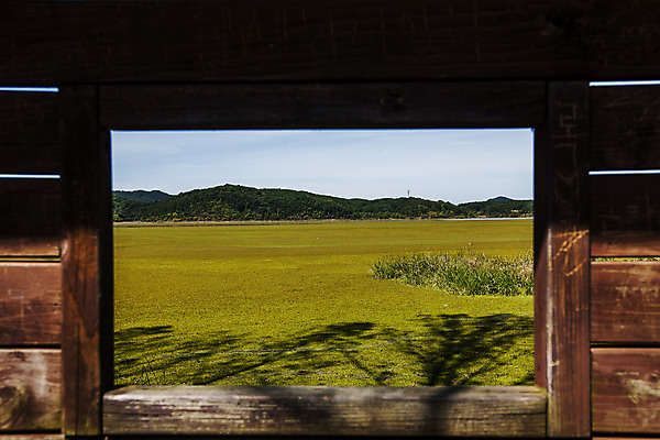 포토 JPG 주간 산 풍경 사람없음 야외 습지 경상남도 우포늪 창녕 국내포토 자연요소 경상도 파일형식