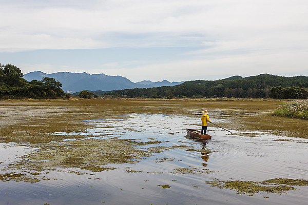 포토 JPG 주간 전신 자연 하늘 산 한명 사람 풍경 야외 뒷모습 습지 나룻배 경상남도 노젓기 우포늪 창녕 나룻배타기 국내포토 자연요소 1 뷰포인트 배_교통 모션 승차 경상도 생태계 파일형식
