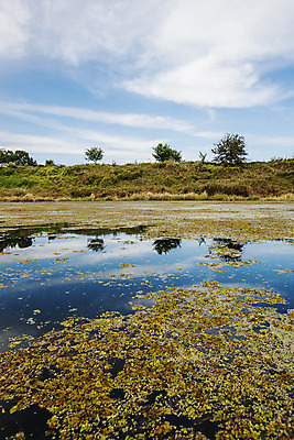포토 JPG 주간 자연 하늘 풍경 사람없음 야외 습지 경상남도 우포늪 창녕 국내포토 자연요소 경상도 생태계 파일형식