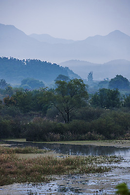 포토 JPG 자연 산 풍경 사람없음 야외 새벽 안개 습지 경상남도 우포늪 창녕 국내포토 자연요소 날씨 경상도 생태계 파일형식
