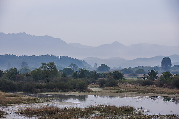 포토 JPG 자연 산 풍경 사람없음 야외 새벽 안개 습지 경상남도 우포늪 창녕 국내포토 자연요소 날씨 경상도 생태계 파일형식