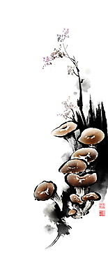 PSD 일러스트 식재료 캘리그라피 붓터치 사람없음 식용버섯 번짐 낙관 느타리버섯 식자재 국내일러스트 버섯 파일형식 효과