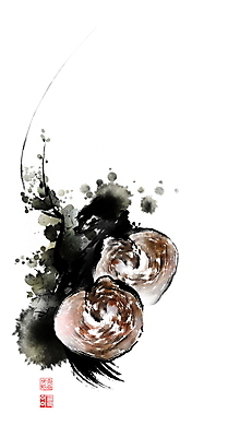 PSD 일러스트 식재료 캘리그라피 붓터치 사람없음 한약재 번짐 낙관 식자재 영지버섯 국내일러스트 버섯 약재 파일형식 효과