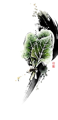 PSD 일러스트 식재료 캘리그라피 붓터치 사람없음 근대 다발 번짐 낙관 식자재 국내일러스트 채소 파일형식 효과